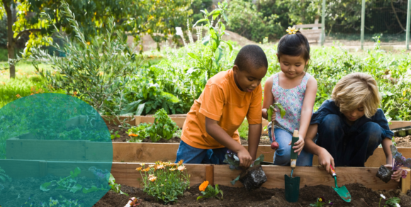 Kinder bepflanzen ein Hochbeet