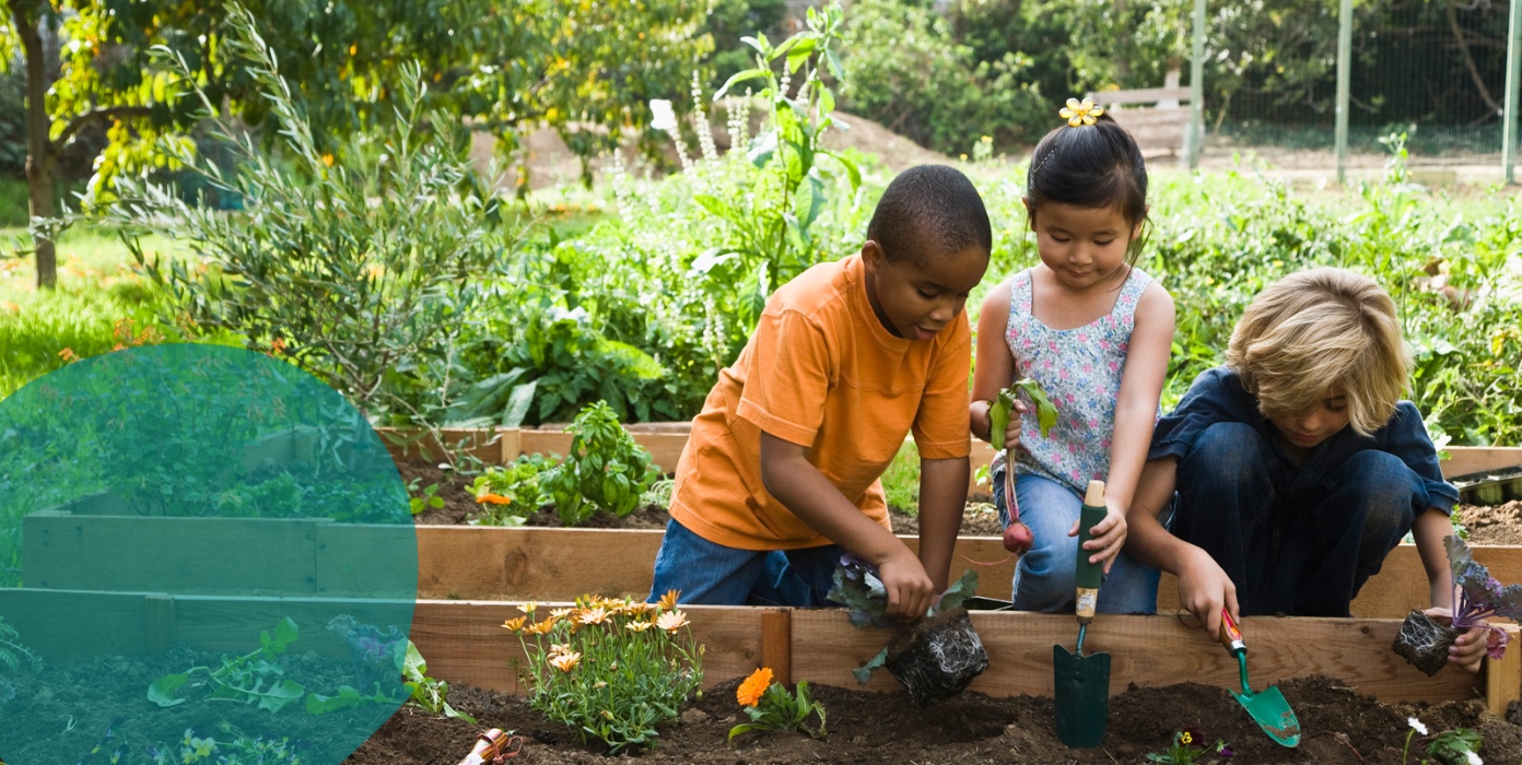 Kinder bepflanzen ein Hochbeet