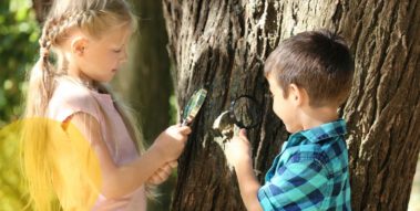 Mädchen und 'Junge schauen sich durch ien Lupe die Rinde eines Baumes an (Mädchen und 'Junge schauen sich durch ien Lupe die Rinde eines Baumes an) Mädchen und 'Junge schauen sich durch ien Lupe die Rinde eines Baumes an