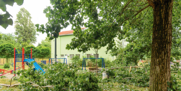 Das Außengelände einer Kita mit herabgestürzten Ästen eines großen Baumes.